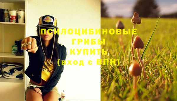 спиды Алзамай