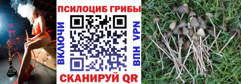 Галлюциногенные грибы мухоморы  где найти наркотики  Добрянка 